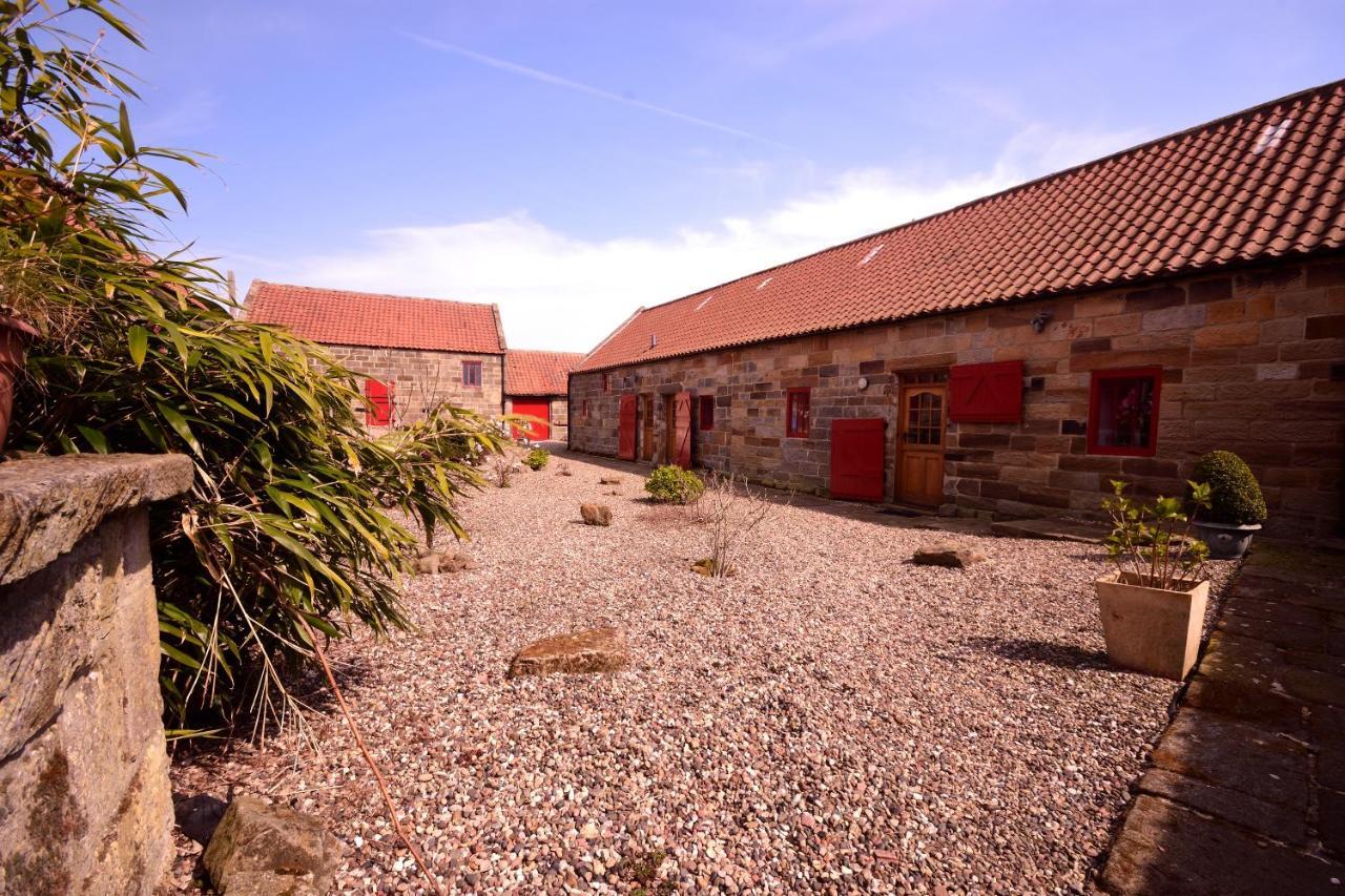 Sebright Cottage, Borrowby Farm Cottages Staithes Εξωτερικό φωτογραφία