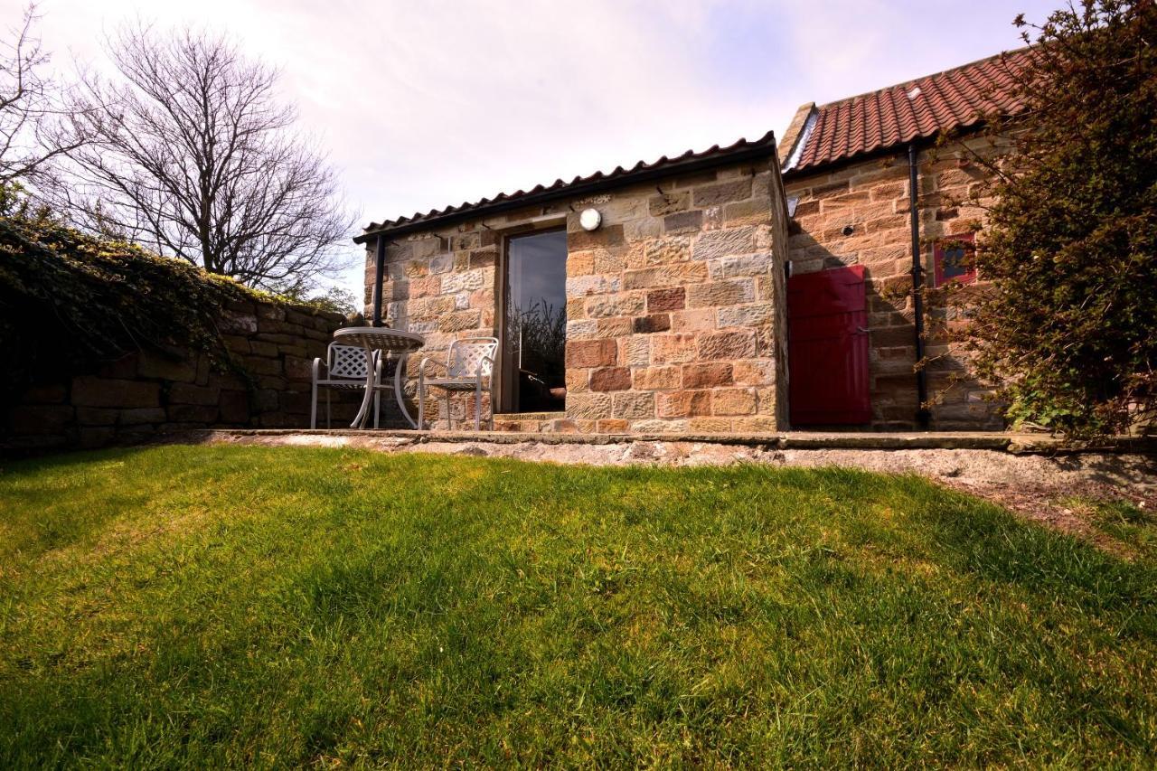 Sebright Cottage, Borrowby Farm Cottages Staithes Εξωτερικό φωτογραφία
