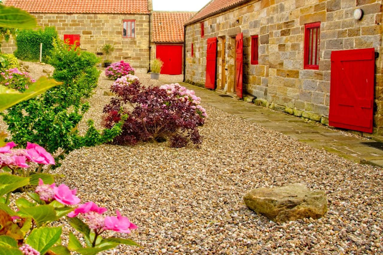 Sebright Cottage, Borrowby Farm Cottages Staithes Εξωτερικό φωτογραφία
