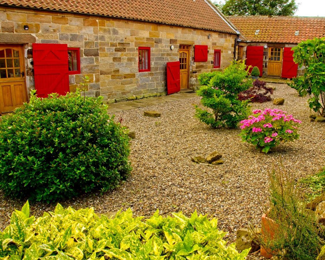Sebright Cottage, Borrowby Farm Cottages Staithes Εξωτερικό φωτογραφία