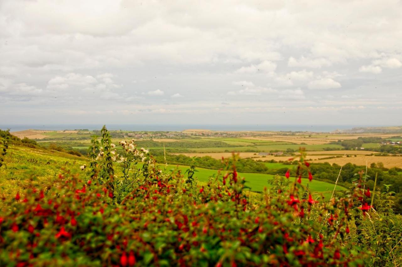 Sebright Cottage, Borrowby Farm Cottages Staithes Εξωτερικό φωτογραφία